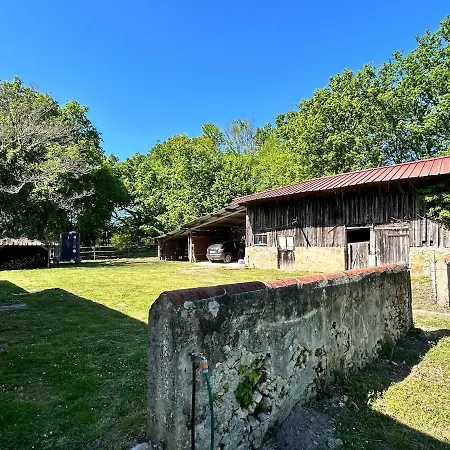 Maison Dans Les Bois Holiday home *