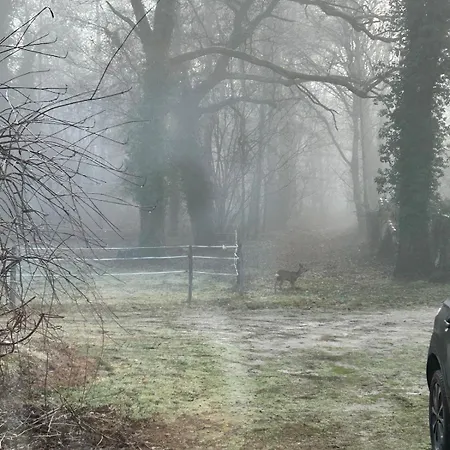 Maison Dans Les Bois * Lacquy